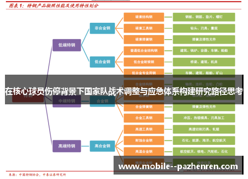 在核心球员伤停背景下国家队战术调整与应急体系构建研究路径思考